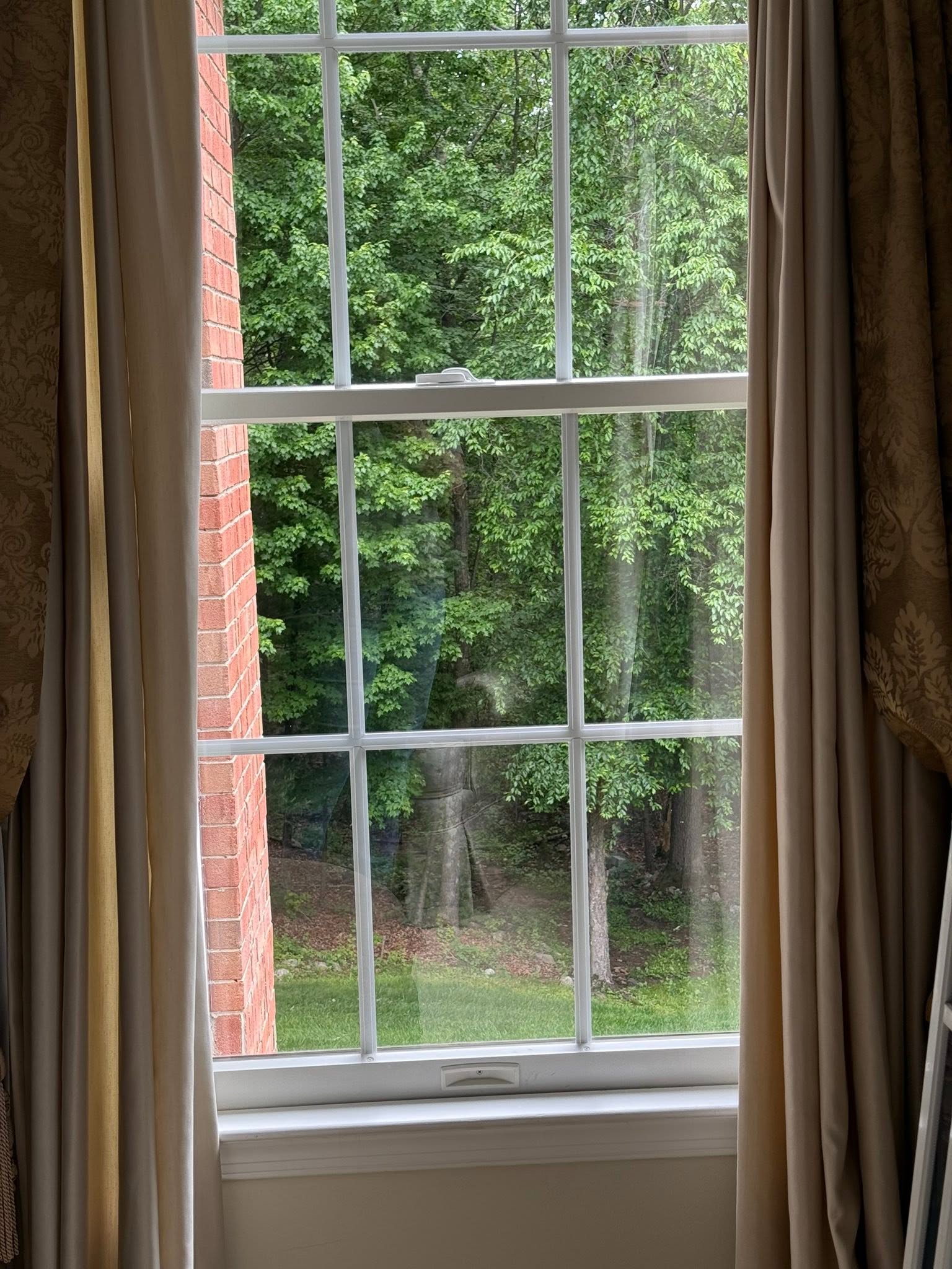 The same window after cleaning, crisp view of trees and brick